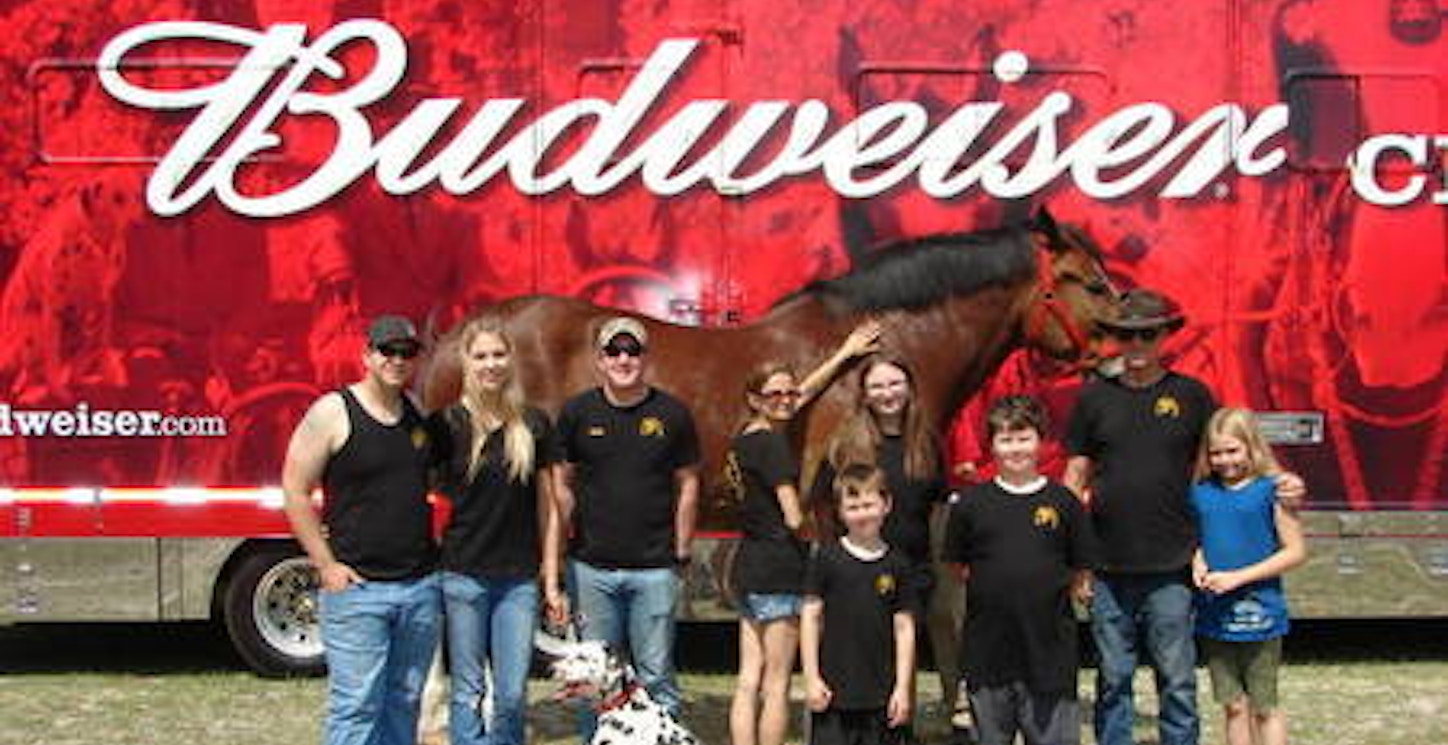 Budweiser Clydesdales Visit To Ft. Stewart, Ga  T-Shirt Photo